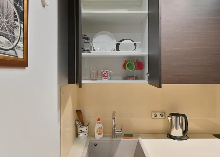 Modern Studio-apartment In The Centre Apartment Riga